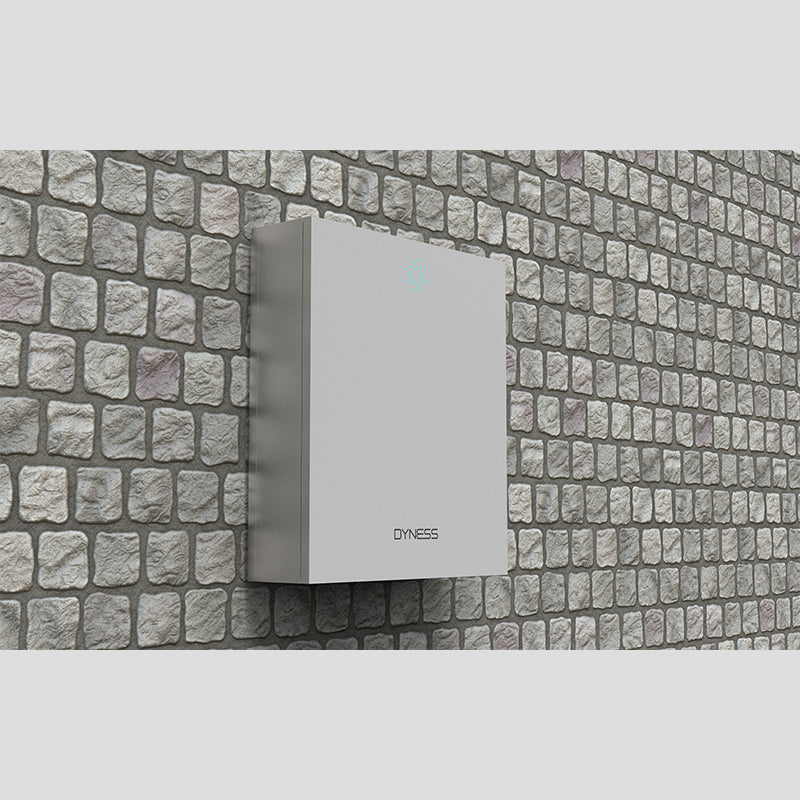 dyness energy inverter